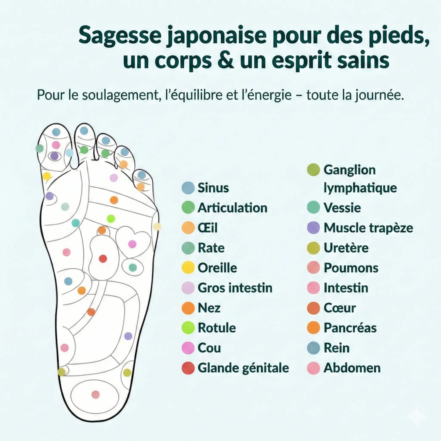 Semelles magnétiques Santavya™ | Perdez du poids à chaque pas